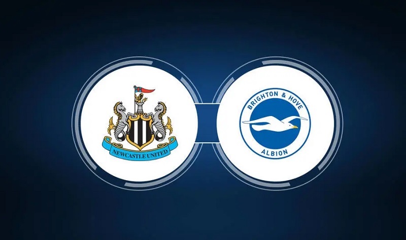 Link trực tiếp Newcastle vs Brighton 1h30 ngày 19/5 Full HD