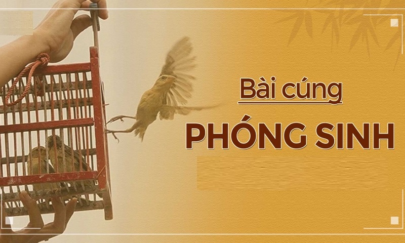 van-khan-phong-sinh-tai-nha