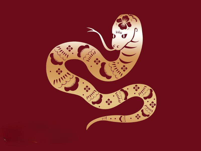 Bói quẻ tuổi Tỵ