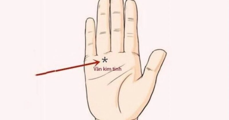 Đường chỉ tay ngôi sao dưới gò kim tinh
