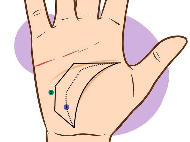Đường chỉ tay vân nguyên bảo