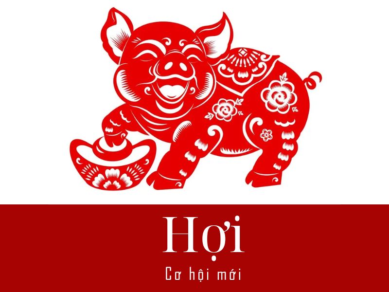 Tử vi mỗi ngày tuổi Hợi
