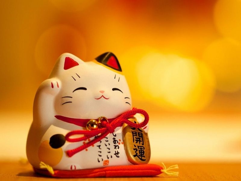 Xem bói trong tuần 2/6 - 8/6/2025 tuổi Mão