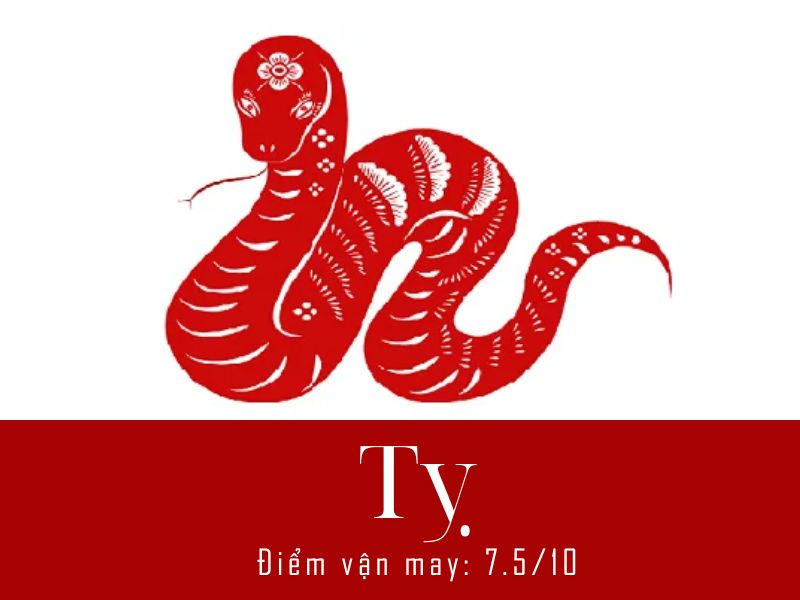 Xem bói hàng ngày tuổi Tỵ