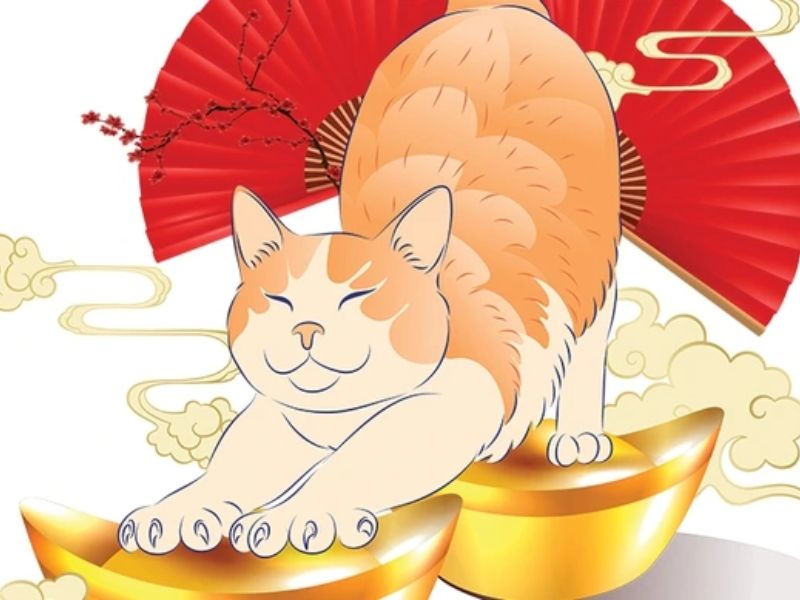Xem bói hằng ngày tuổi Mão