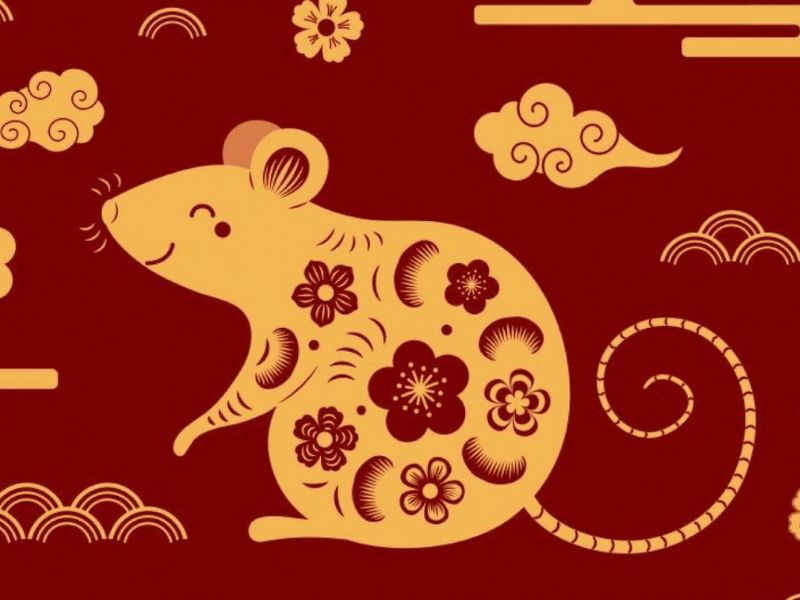 Xem bói tử vi hàng ngày 29/5/2025 tuổi Tý