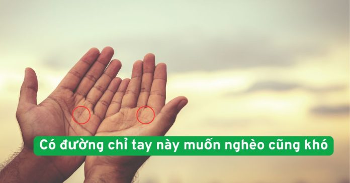 Đường chỉ tay tài lộc