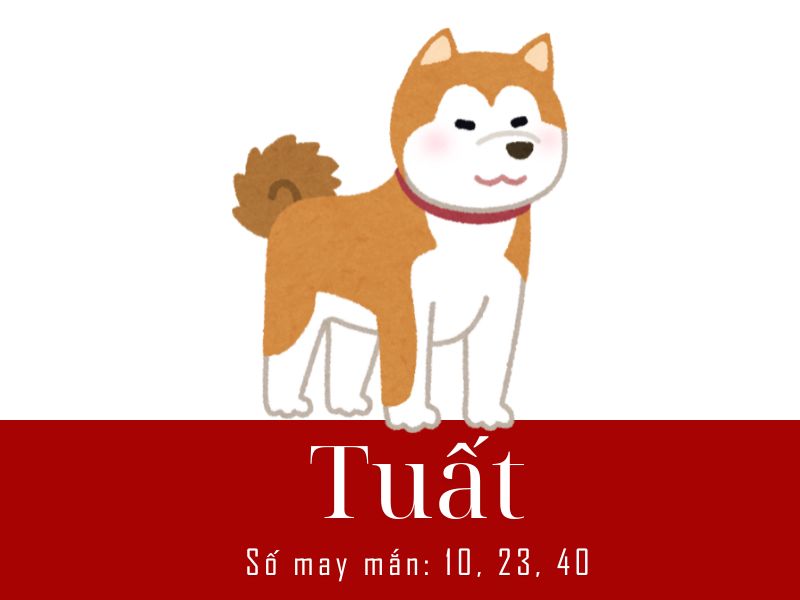 Bói 12 con giáp tuần mới 16 - 22/6/2025 -11
