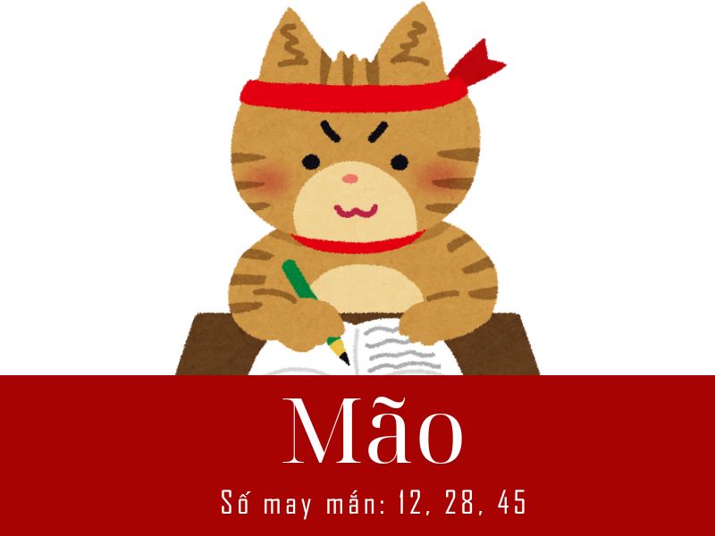 Bói 12 con giáp tuần mới 16 - 22/6/2025 -4
