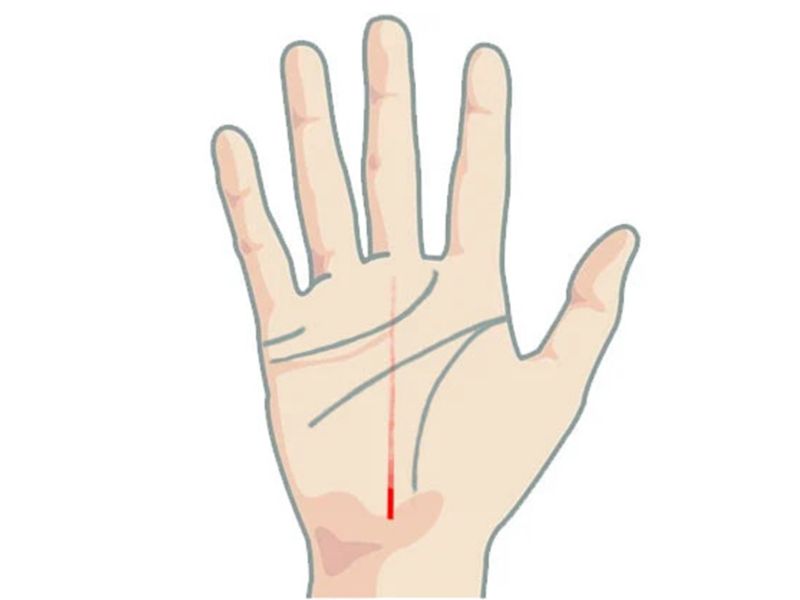 Đường chỉ tay sự nghiệp 2