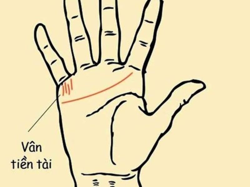 Đường chỉ tay tài lộc 3