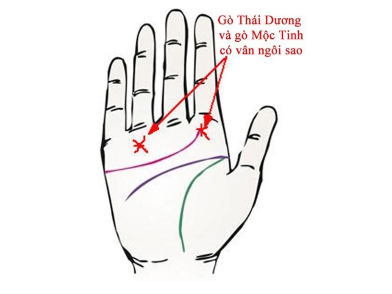 Đường chỉ tay tài lộc 5