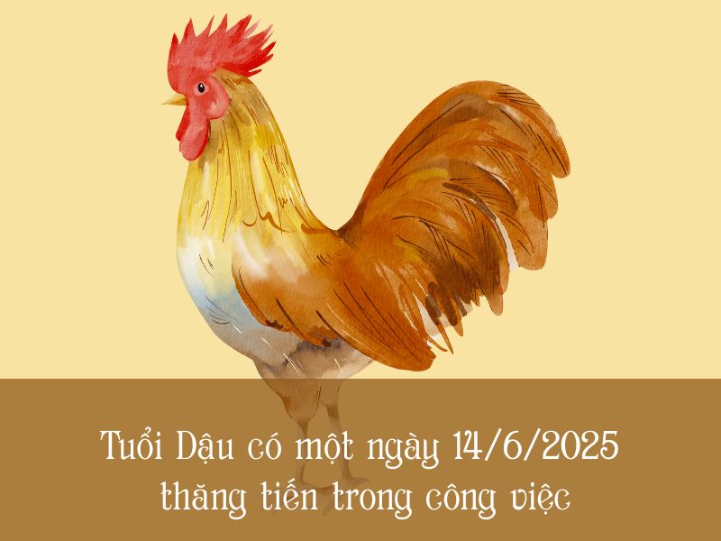 tử vi của bạn tuổi Dậu