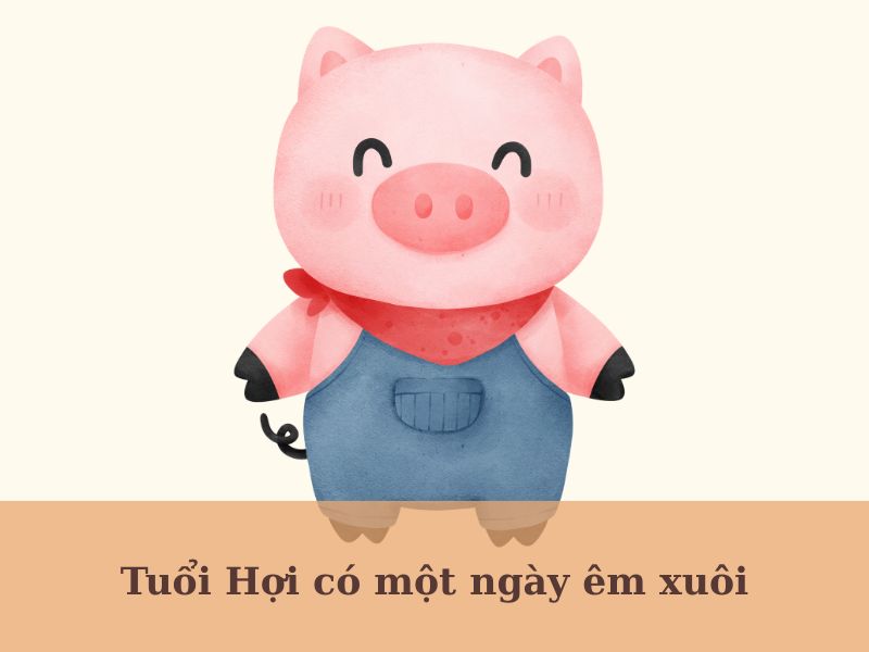 tử vi phương Đông ngày 20/6/2025 tuổi Hợi