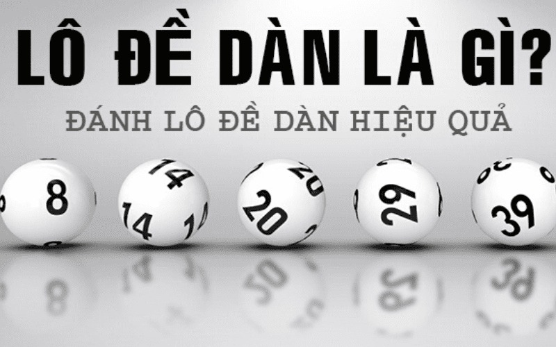 Đề dàn là gì? Có mấy loại dàn đề? Tỉ lệ ăn của dàn đề