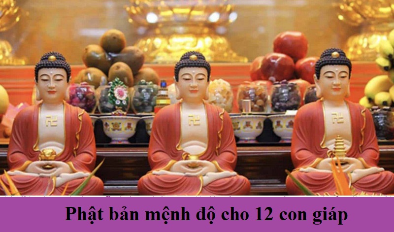 Đâu là Phật bản mệnh độ cho 12 con giáp? Phật độ trì phương diện nào?