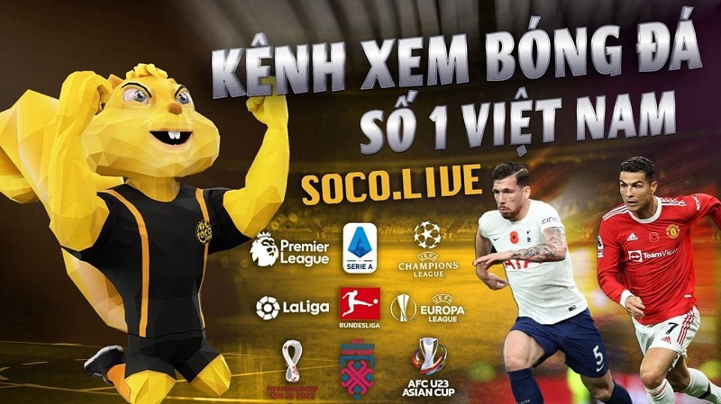 Socolive trực tiếp – Website xem trực tiếp bóng đá Soco Live
