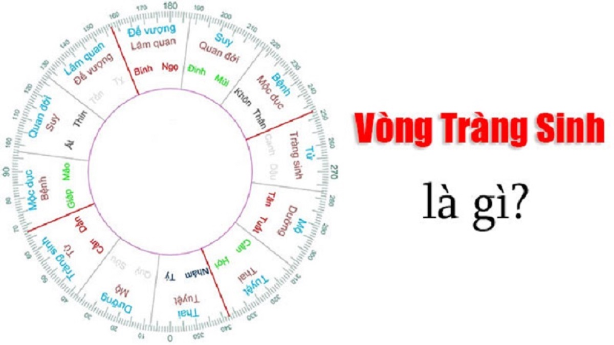 Vòng tràng sinh là gì? Cách sinh con theo vòng trường sinh chuẩn nhất