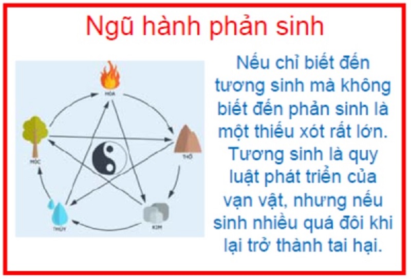 ngu-hanh-phan-sinh