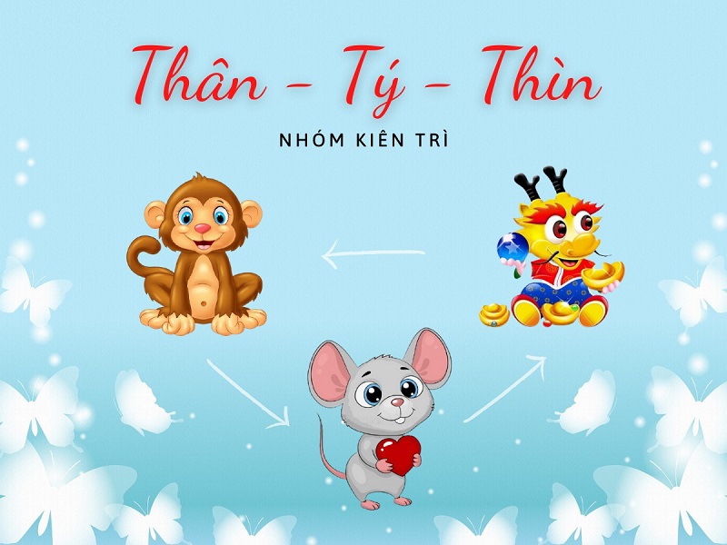 nhom-kien-tri-than-ty-thin