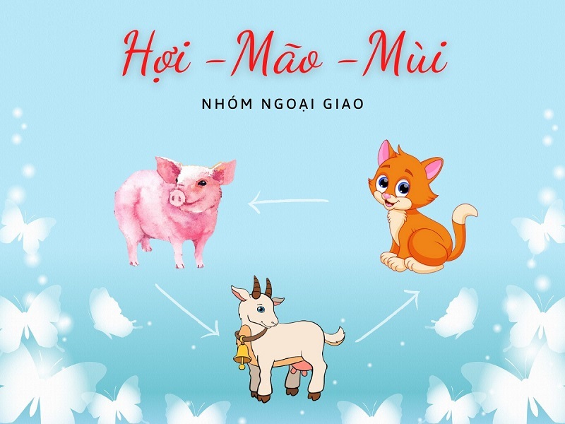 nhom-ngoai-giao-hoi-mao-mui