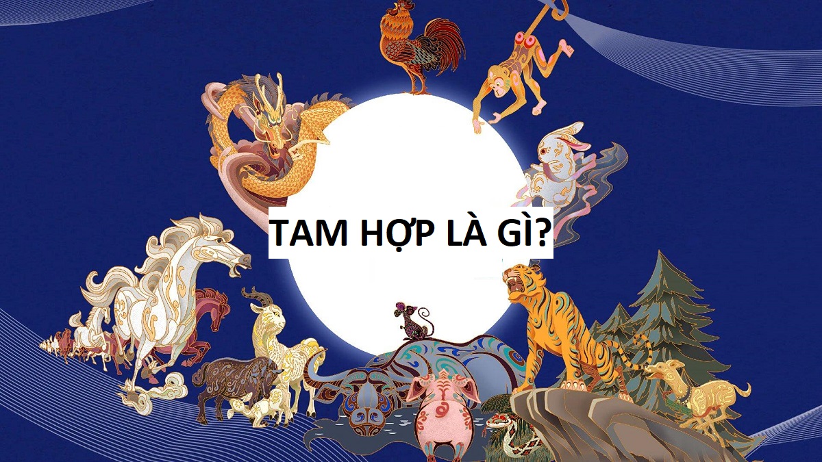 Tam hợp là gì? Tuổi tam hợp 12 con giáp