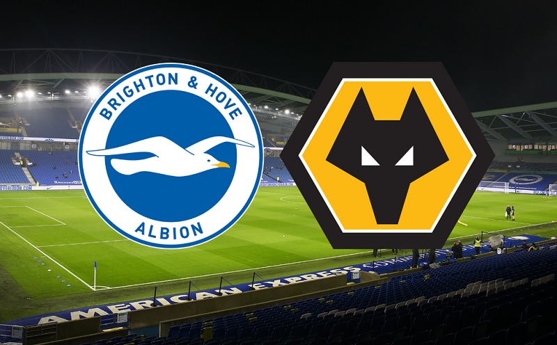 Link trực tiếp Brighton vs Wolves 21h ngày 29/4 Full HD