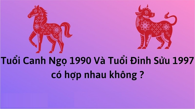 chong-1990-vo-1997-co-hop-khong