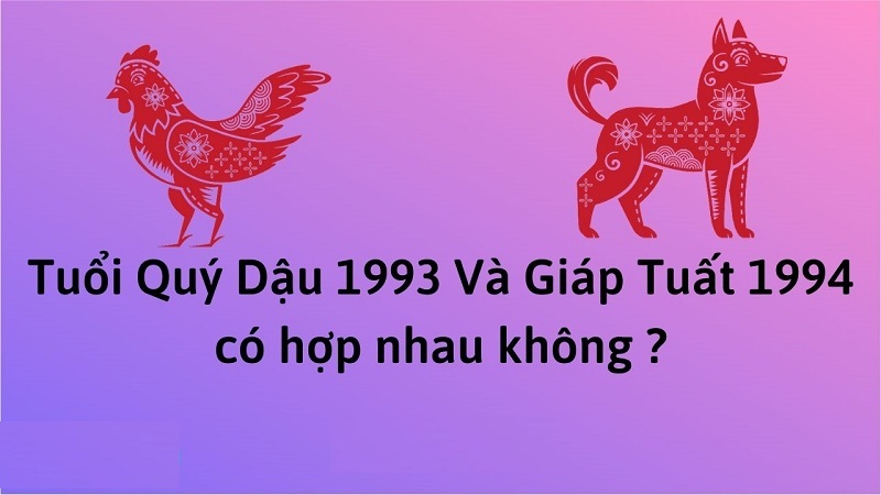 chong-1993-vo-1994-co-hop-nhau-khong