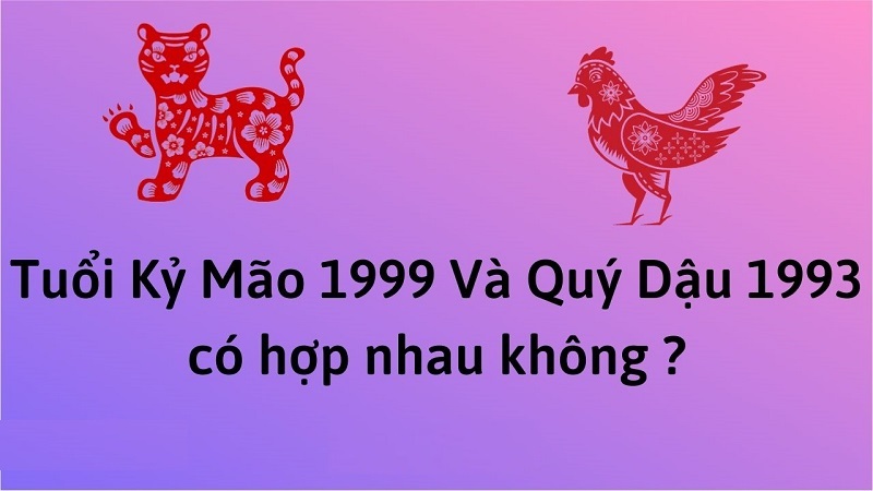 chong-1993-vo-1999-co-hop-nhau-khong