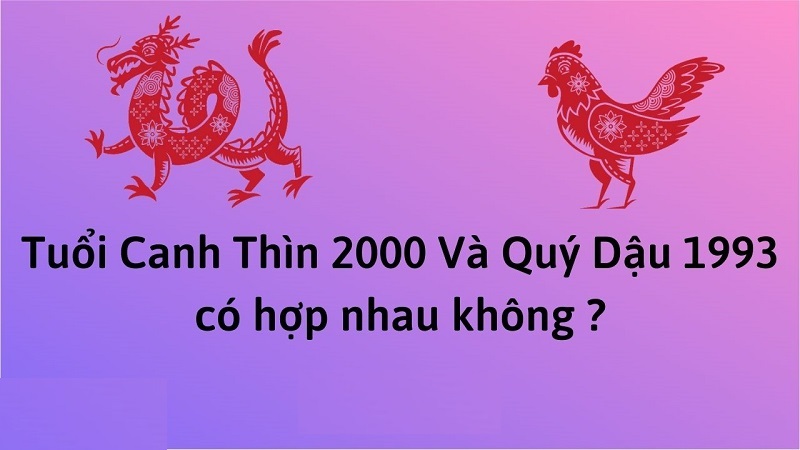 chong-1993-vo-2000-co-hop-nhau-khong