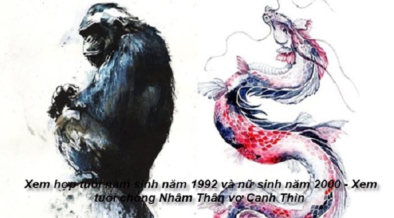 tu-vi-chong-1992-vo-2000
