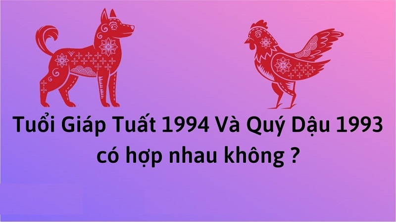chong-1994-vo-1993-co-hop-nhau-khong