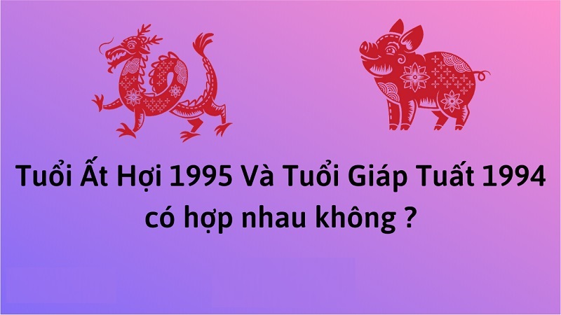 chong-1994-vo-1995-hop-nhau-khong