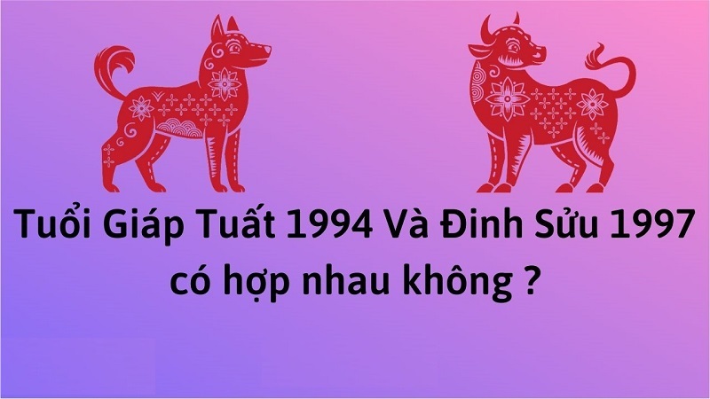 chong-1994-vo-1997-co-hop-nhau-khong