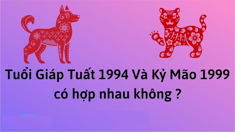 chong-1994-vo-1999-co-hop-nhau-khong