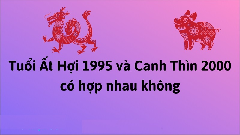 chong-1995-vo-2000-co-hop-nhau-khong
