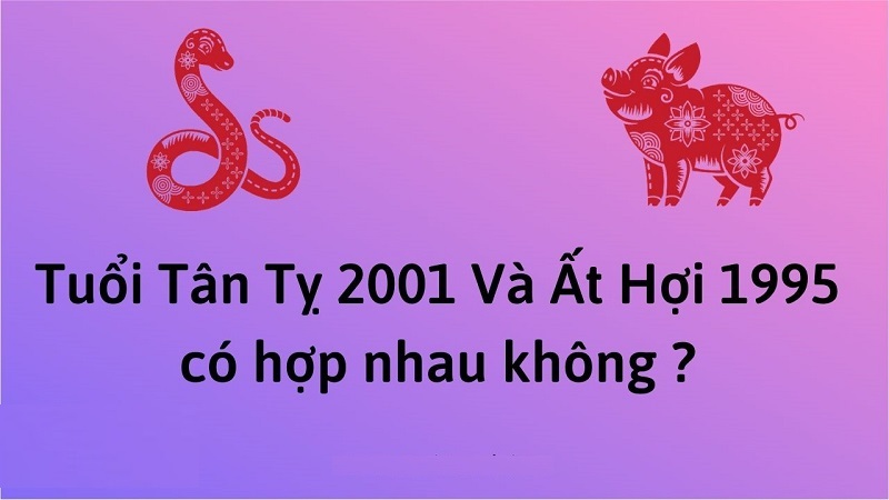 chong-1995-vo-2001-co-hop-nhau-khong