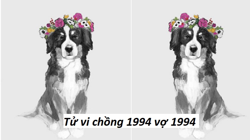 tu-vi-chong-1994-vo-1994