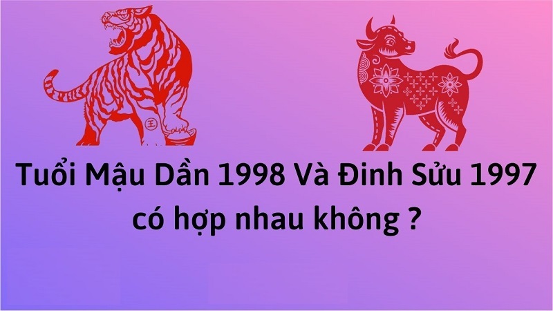 chong-1997-vo-1998-co-hop-nhau-khong