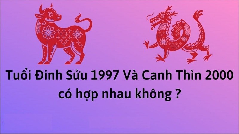 chong-1997-vo-2000-co-hop-nhau-khong