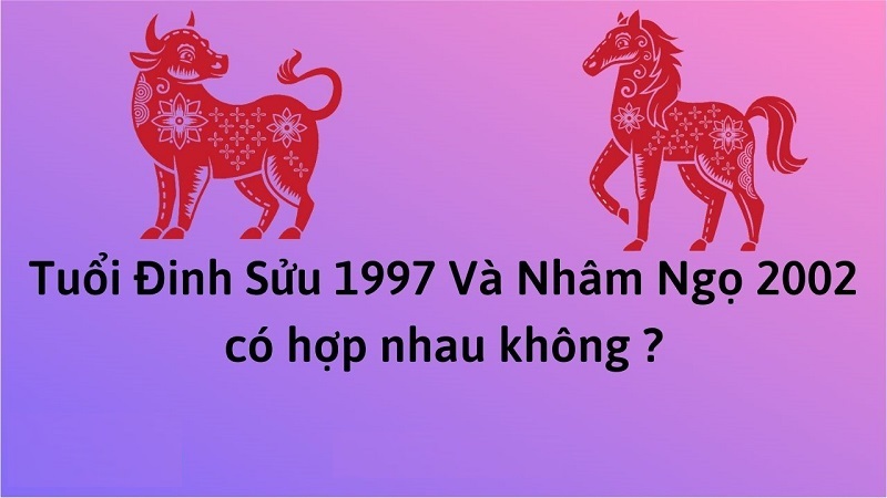 chong-1997-vo-2002-co-hop-nhau-khong